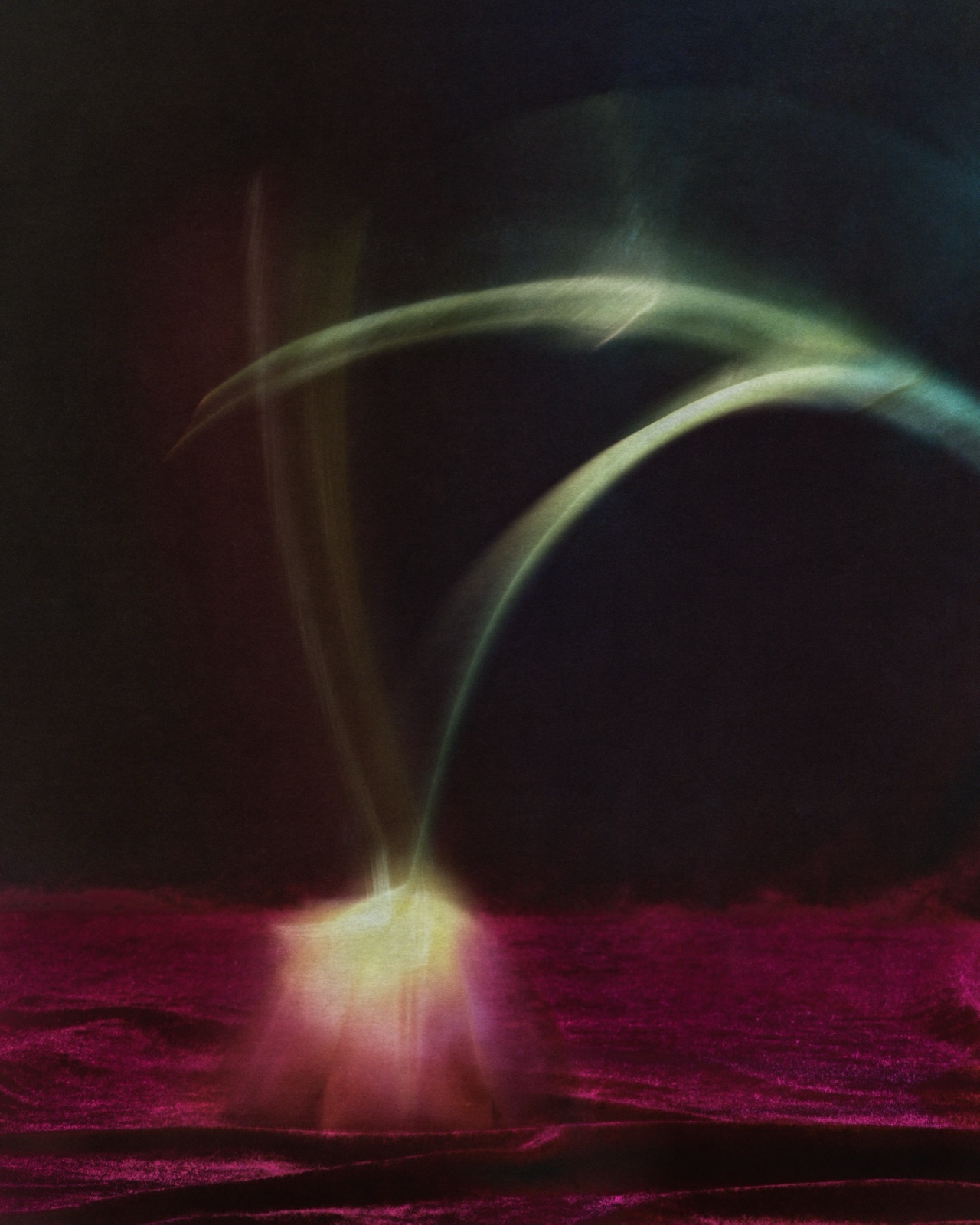 BEING #20 — a flower recorded on expired 8×10 colour film in a single exposure of 1 day.