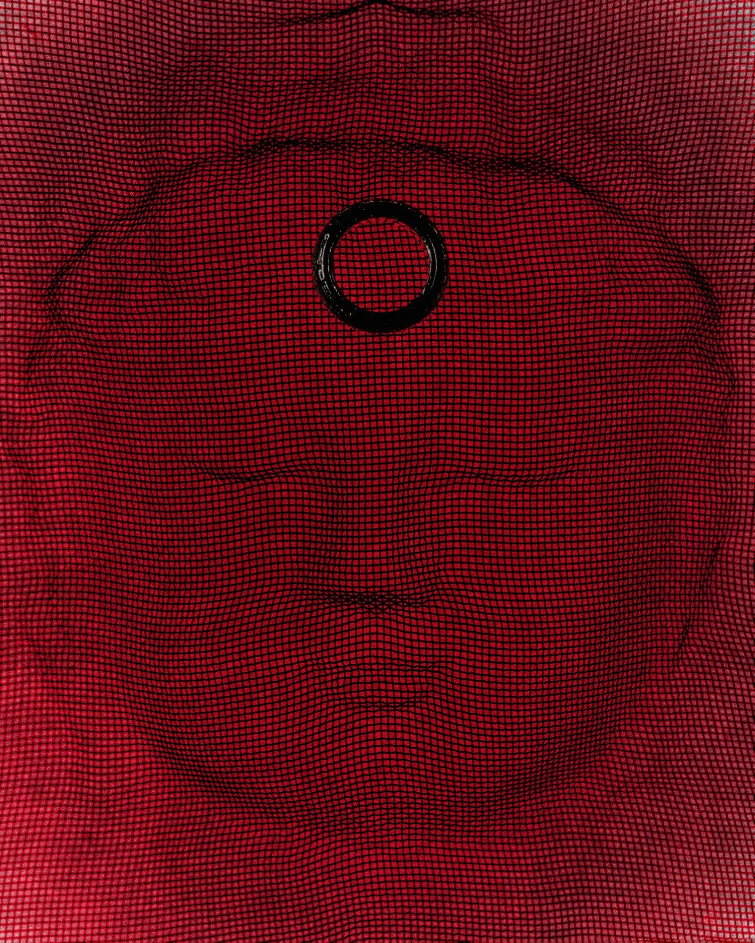 A VAXINE image of a black circular object on red textile.